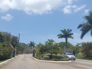 MLS 23292 NEGRIL ESTATE, Westmoreland, Jamaica - Residential lot for Sale
